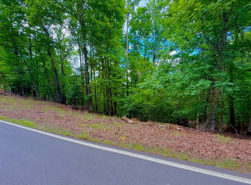 2246 Palisade Drive, Ellijay GA 30540 - Photo