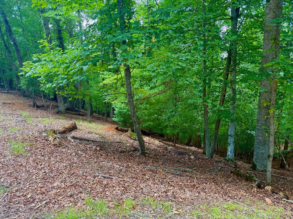 2246 Palisade Drive, Ellijay GA 30540 - Photo