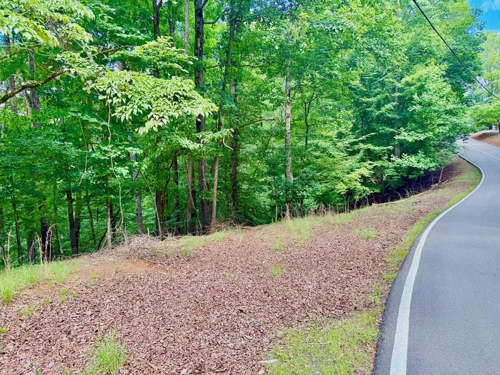 2246 Palisade Drive, Ellijay GA 30540 - Primary photo