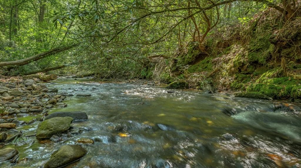 70 Stanley Creek Cross, Blue Ridge GA 30513 - Photo