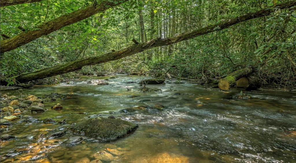 70 Stanley Creek Cross, Blue Ridge GA 30513 - Photo