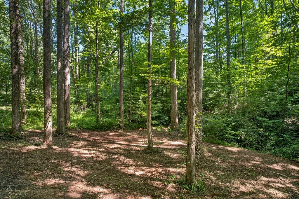 408 Mountain Creek Way, Ellijay GA 30536 - Photo