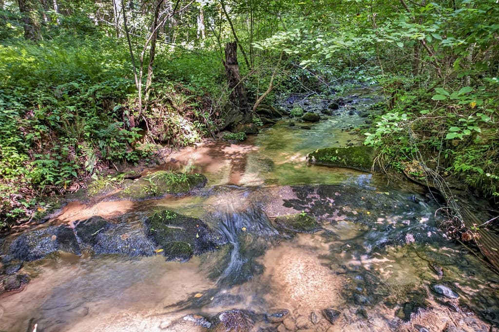 408 Mountain Creek Way, Ellijay GA 30536 - Photo