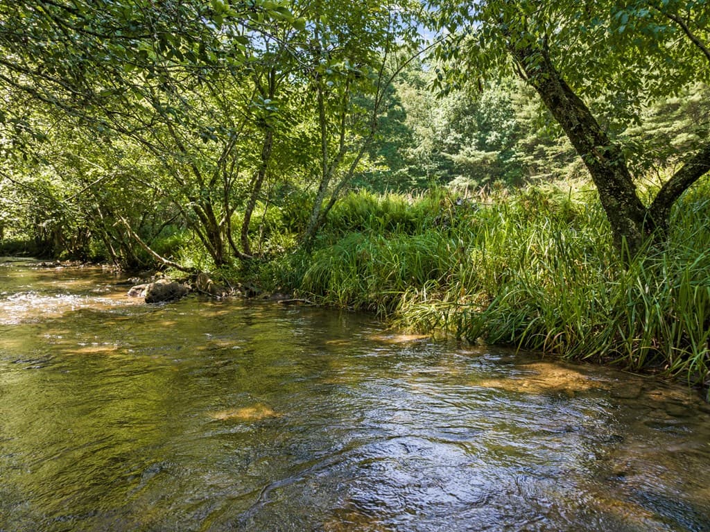 Lot 8 Tipton Court, Cherry Log GA 30522 - Photo