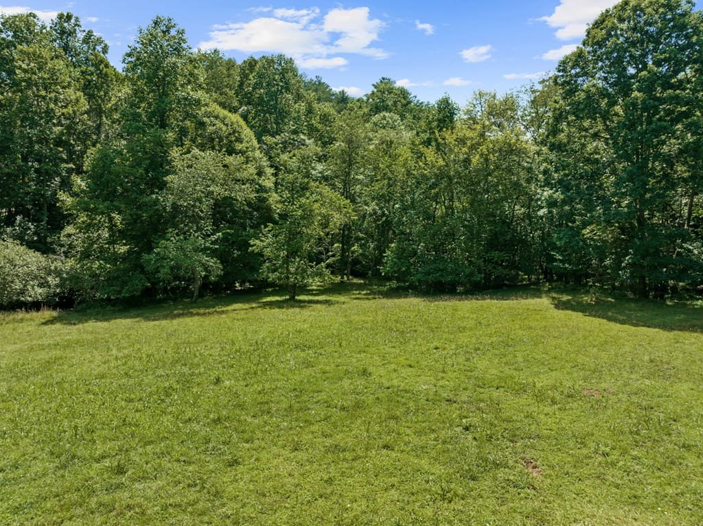 Lot 8 Tipton Court, Cherry Log GA 30522 - Photo