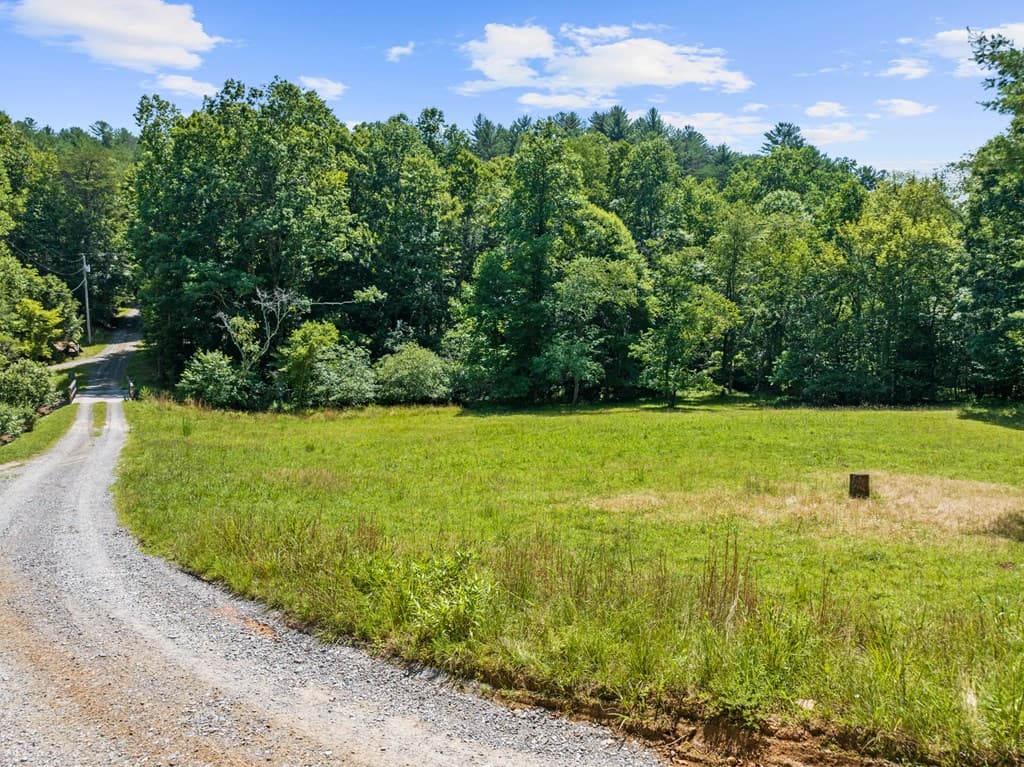 Lot 8 Tipton Court, Cherry Log GA 30522 - Photo