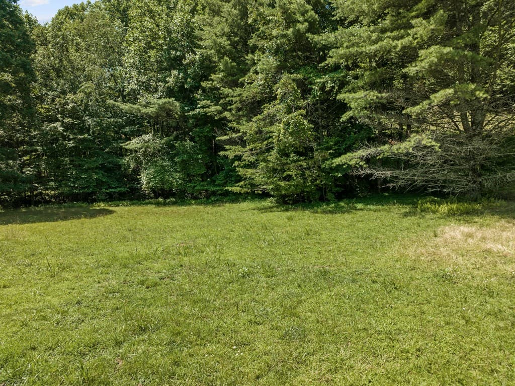 Lot 8 Tipton Court, Cherry Log GA 30522 - Photo