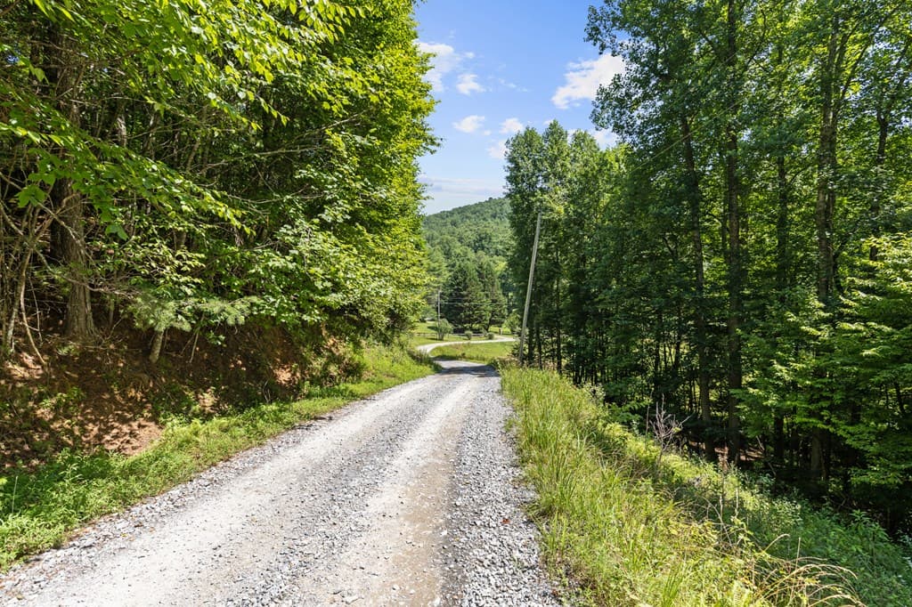 Lot 8 Tipton Court, Cherry Log GA 30522 - Photo