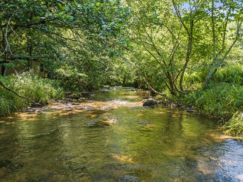 Lot 8 Tipton Court, Cherry Log GA 30522 - Photo