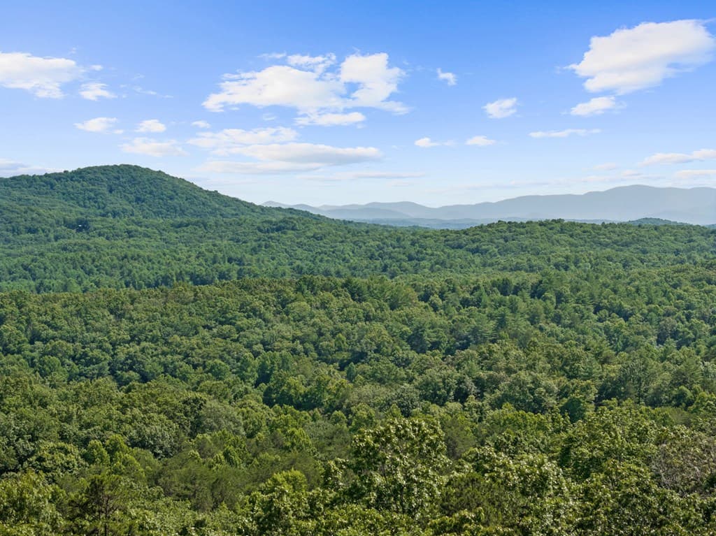 25 Boundless Trail, Morganton GA 30560 - Photo