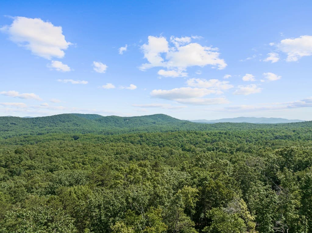25 Boundless Trail, Morganton GA 30560 - Photo