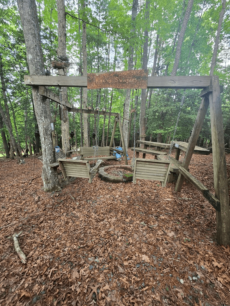 64 Green Oak Road, Warne NC 28909 - Photo