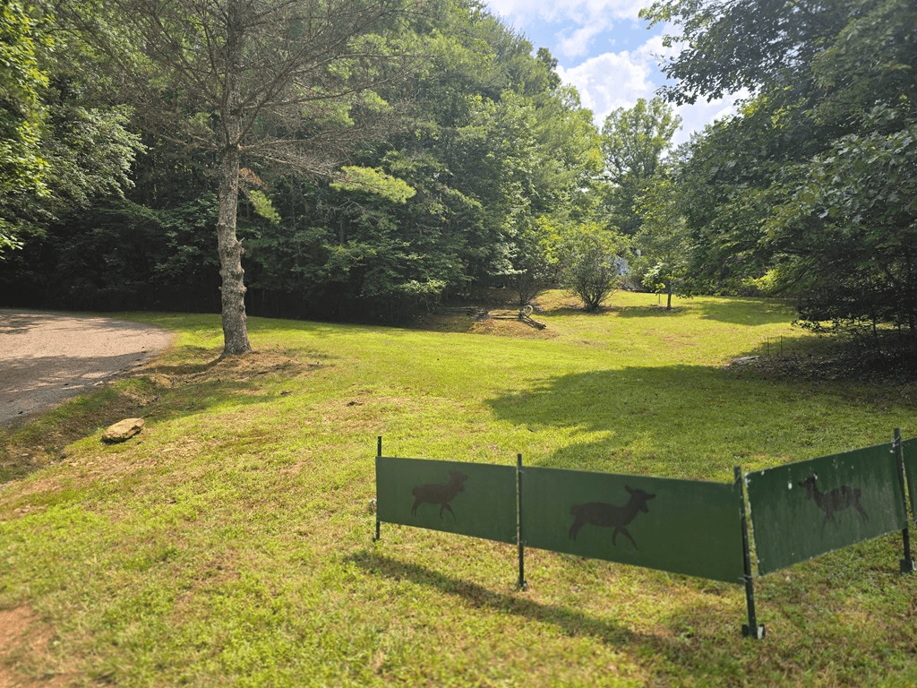 64 Green Oak Road, Warne NC 28909 - Photo