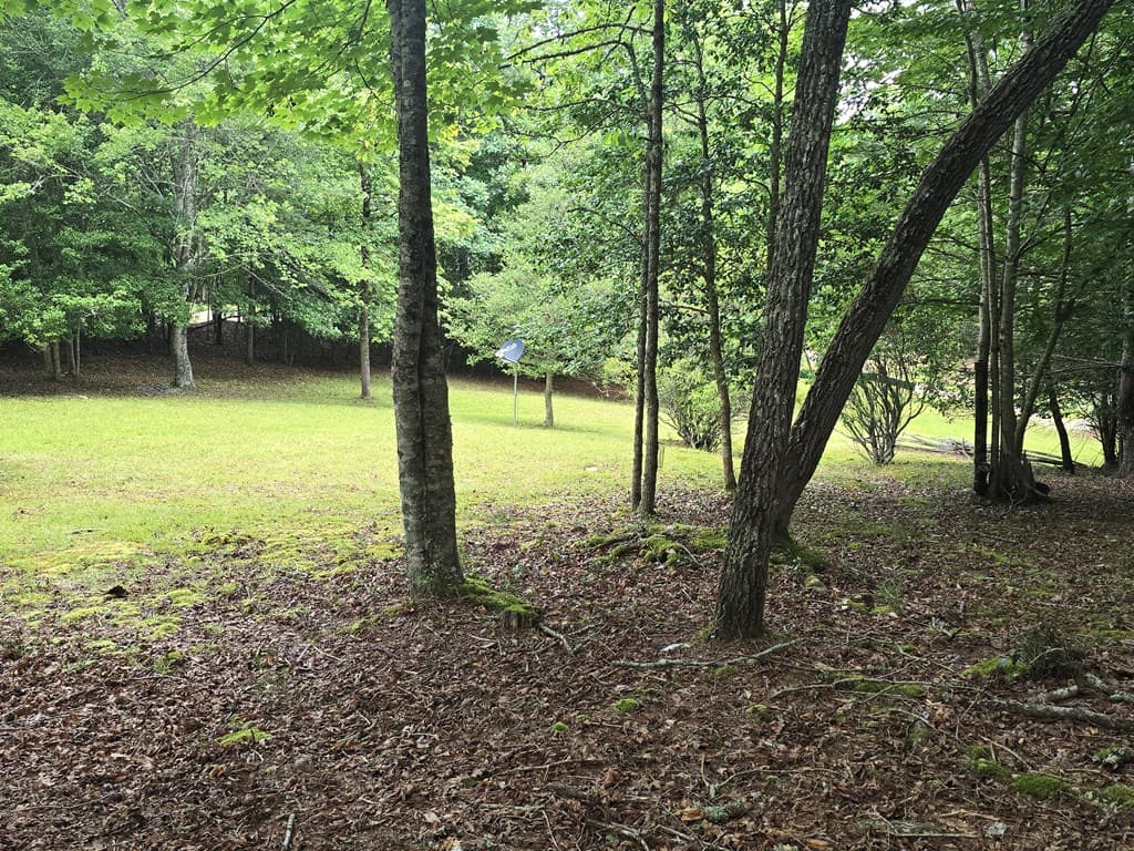 64 Green Oak Road, Warne NC 28909 - Photo
