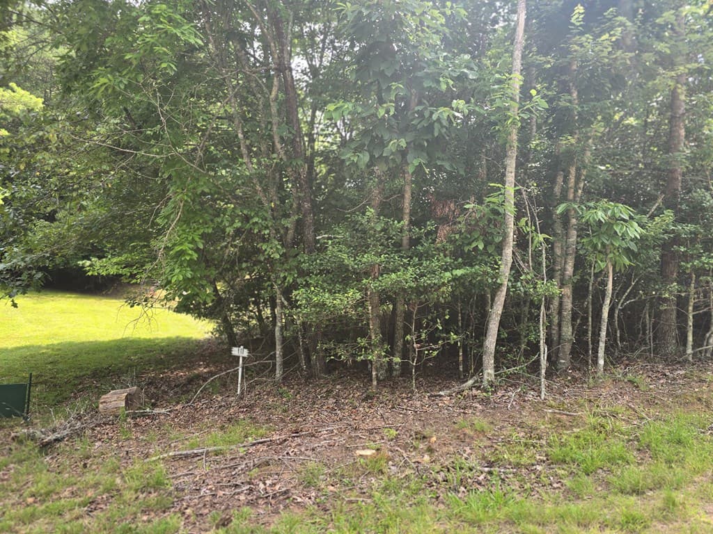 64 Green Oak Road, Warne NC 28909 - Photo