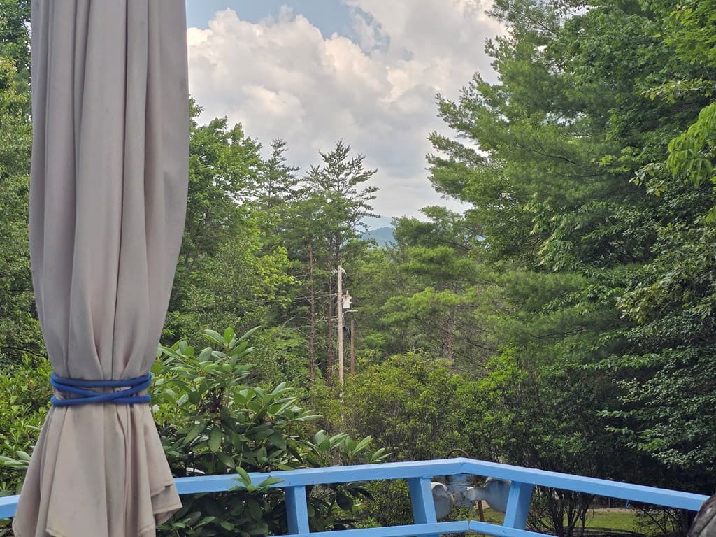 64 Green Oak Road, Warne NC 28909 - Photo