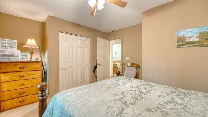 151 Laurel Springs Drive, Murphy NC 28906 - Photo