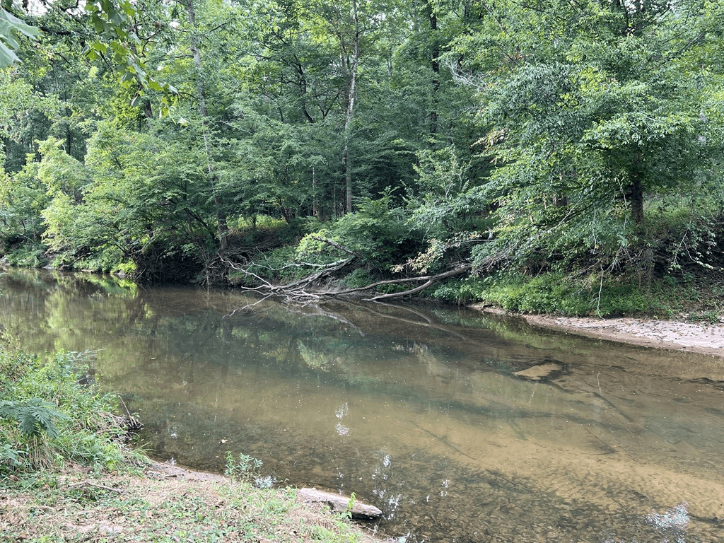 0 W Highway 136, Talking Rock GA 30175 - Photo
