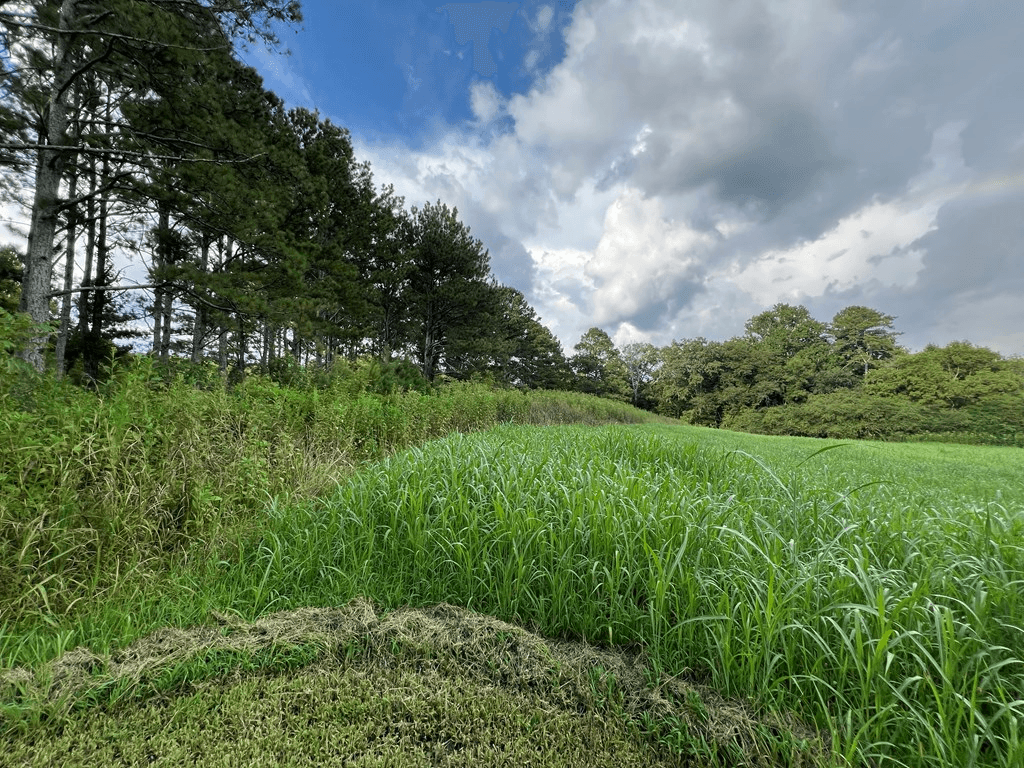 0 W Highway 136, Talking Rock GA 30175 - Photo