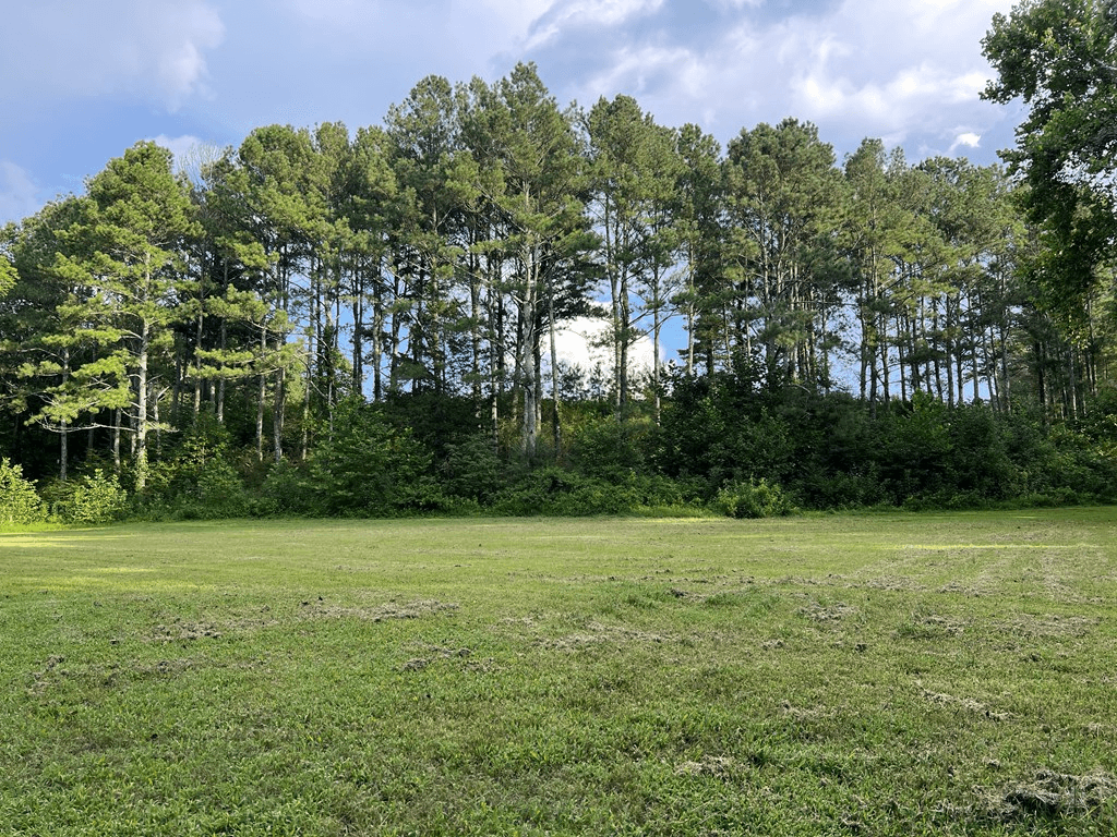 0 W Highway 136, Talking Rock GA 30175 - Photo