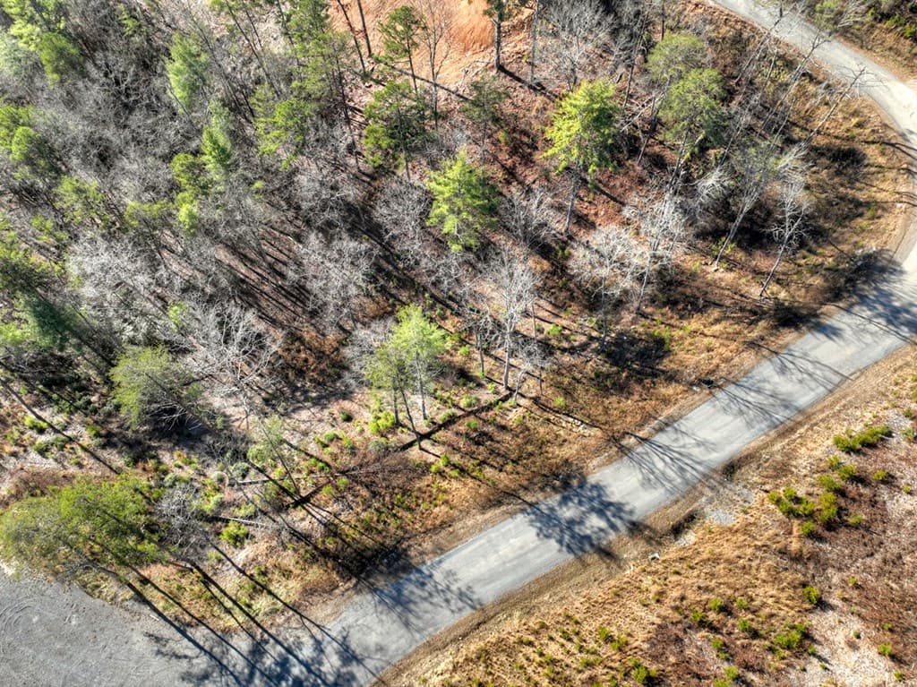 lot 16 Mountain Laurel Ridge, Mineral Bluff GA 30559 - Photo