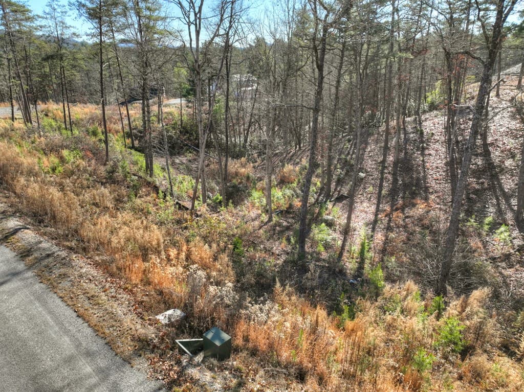 lot 16 Mountain Laurel Ridge, Mineral Bluff GA 30559 - Photo