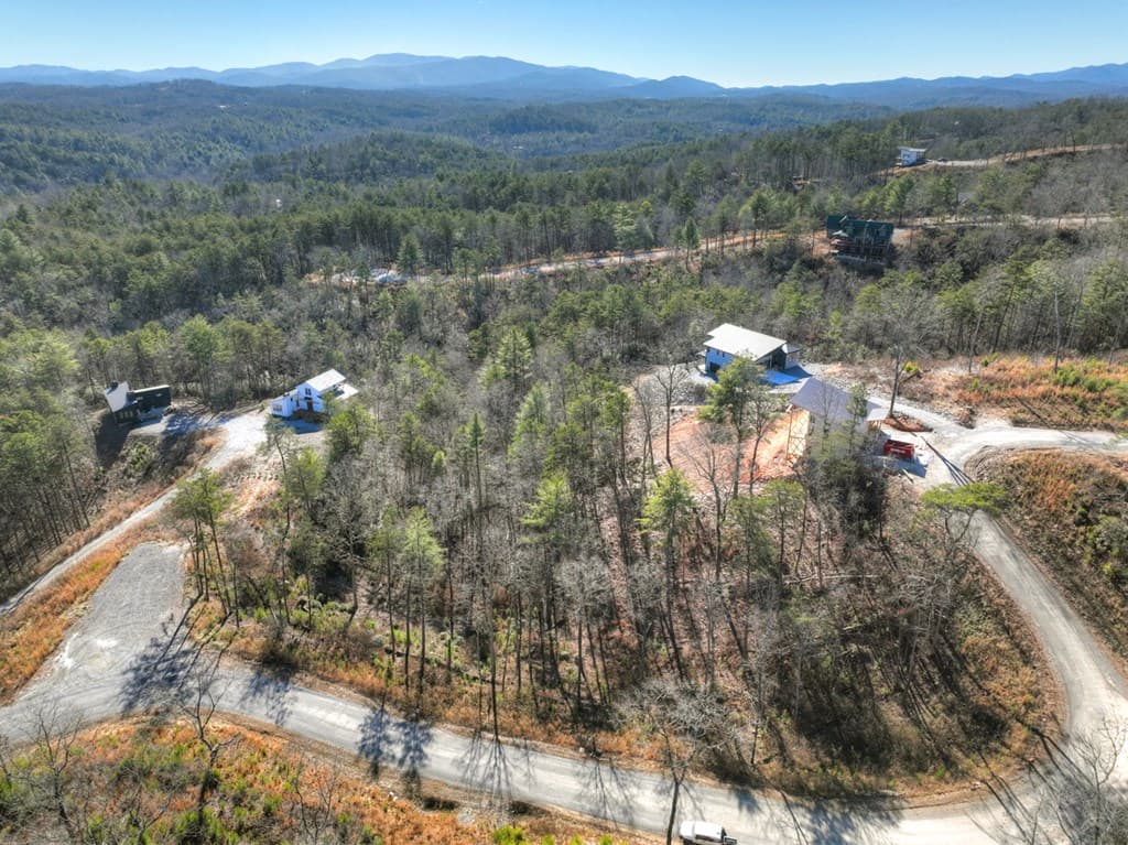 lot 16 Mountain Laurel Ridge, Mineral Bluff GA 30559 - Photo