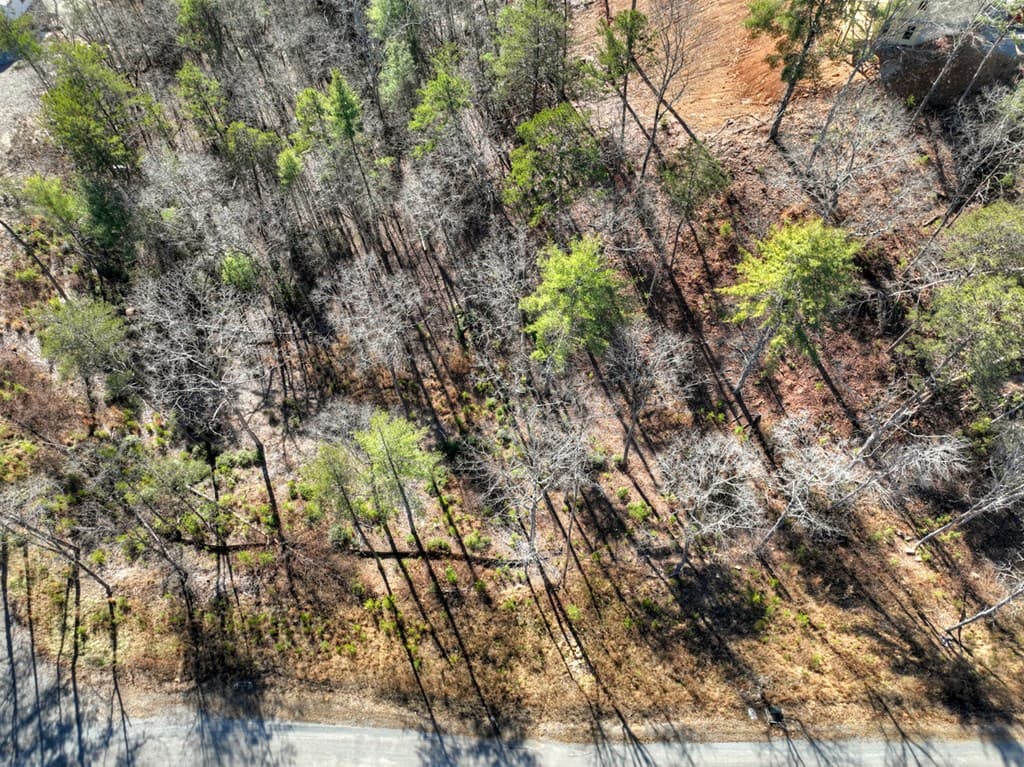 lot 16 Mountain Laurel Ridge, Mineral Bluff GA 30559 - Photo