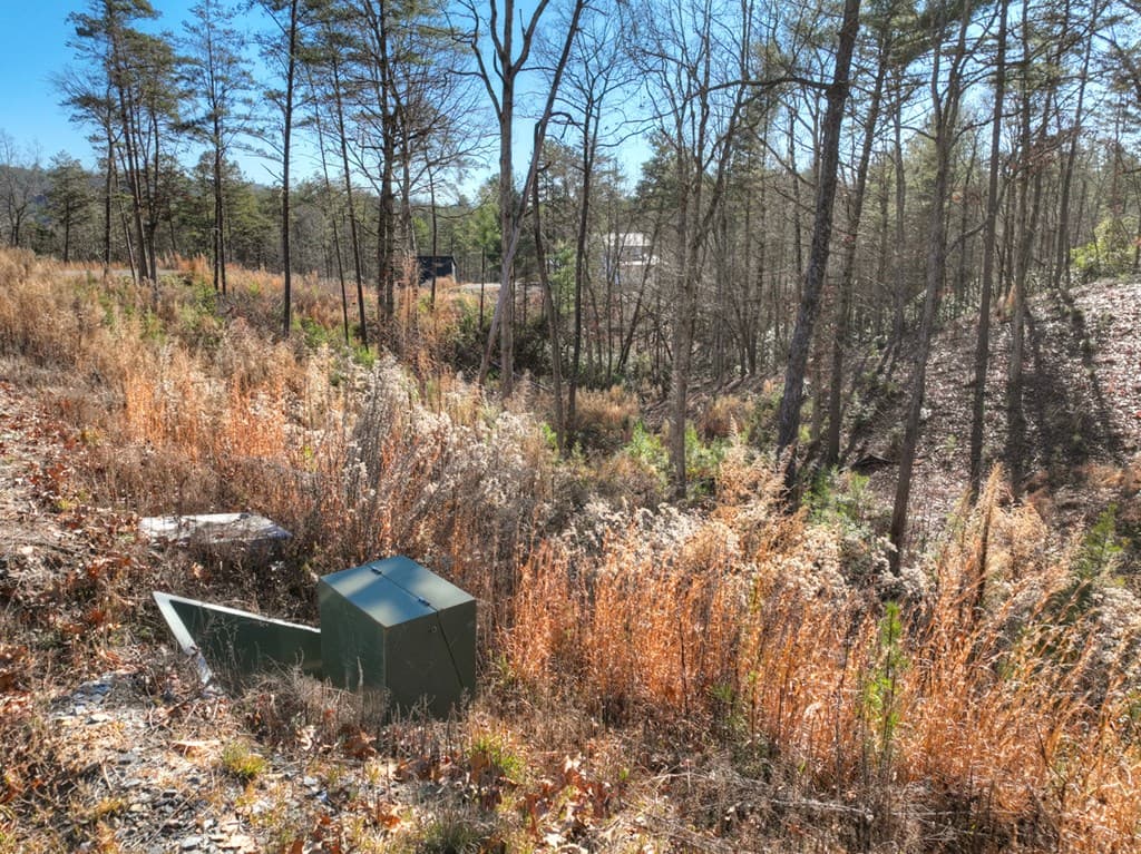 lot 16 Mountain Laurel Ridge, Mineral Bluff GA 30559 - Photo