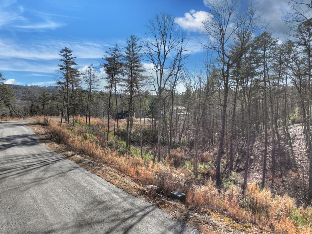 lot 16 Mountain Laurel Ridge, Mineral Bluff GA 30559 - Photo