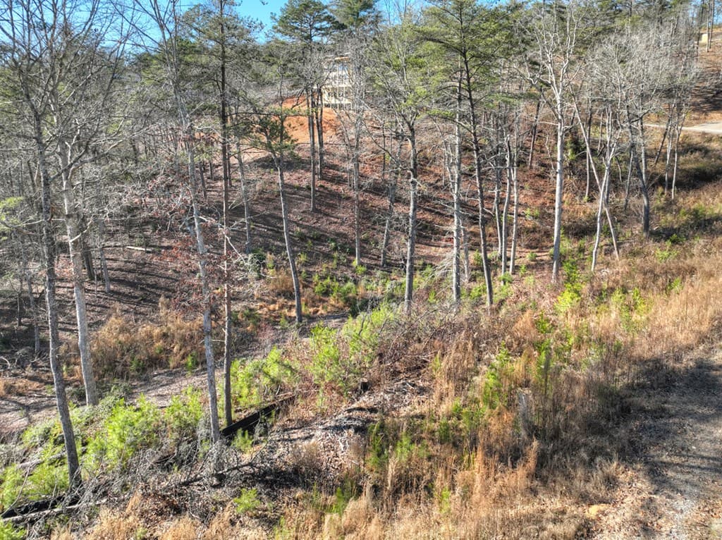 lot 16 Mountain Laurel Ridge, Mineral Bluff GA 30559 - Photo