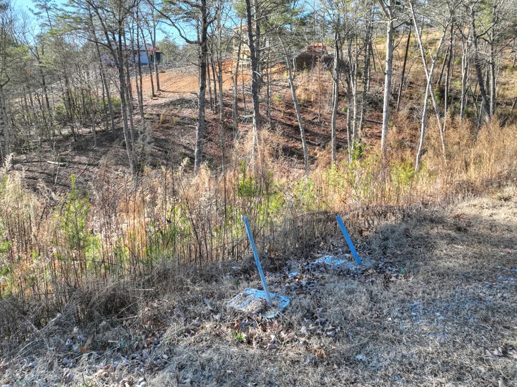 lot 16 Mountain Laurel Ridge, Mineral Bluff GA 30559 - Photo