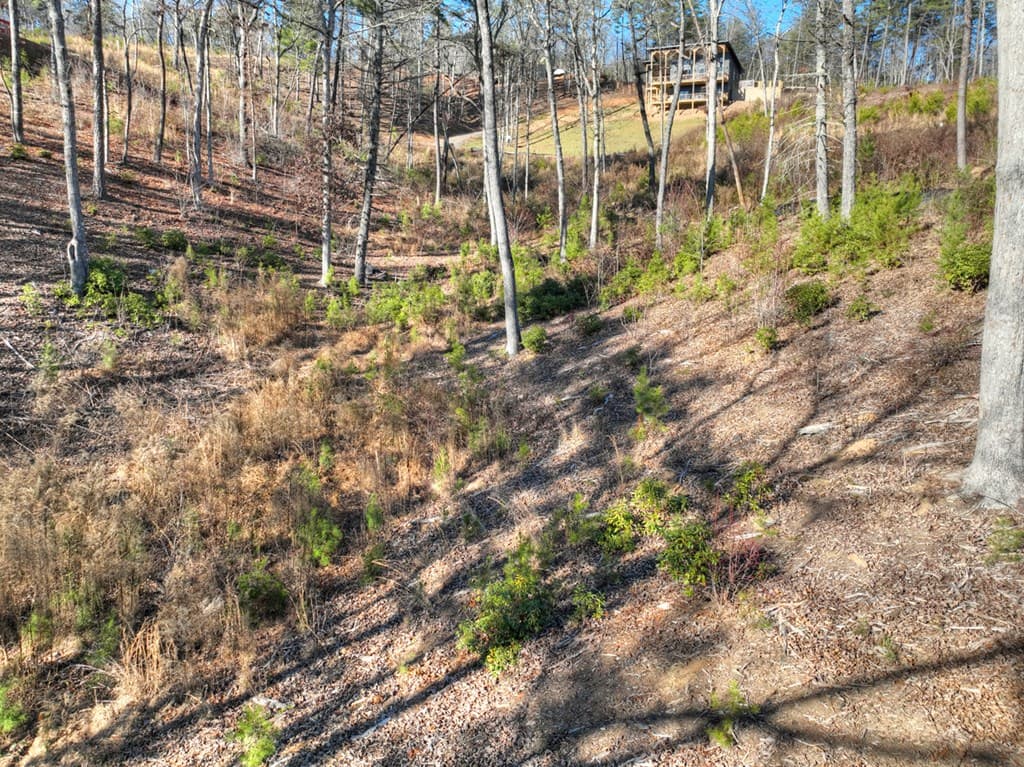 lot 16 Mountain Laurel Ridge, Mineral Bluff GA 30559 - Photo
