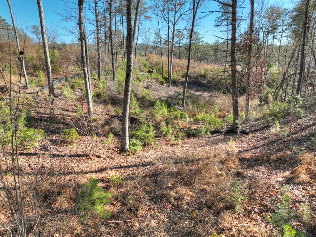 lot 16 Mountain Laurel Ridge, Mineral Bluff GA 30559 - Photo