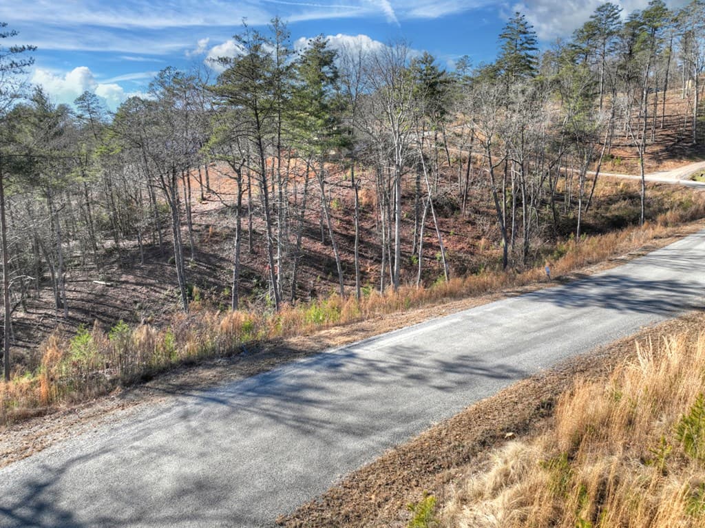 lot 16 Mountain Laurel Ridge, Mineral Bluff GA 30559 - Photo