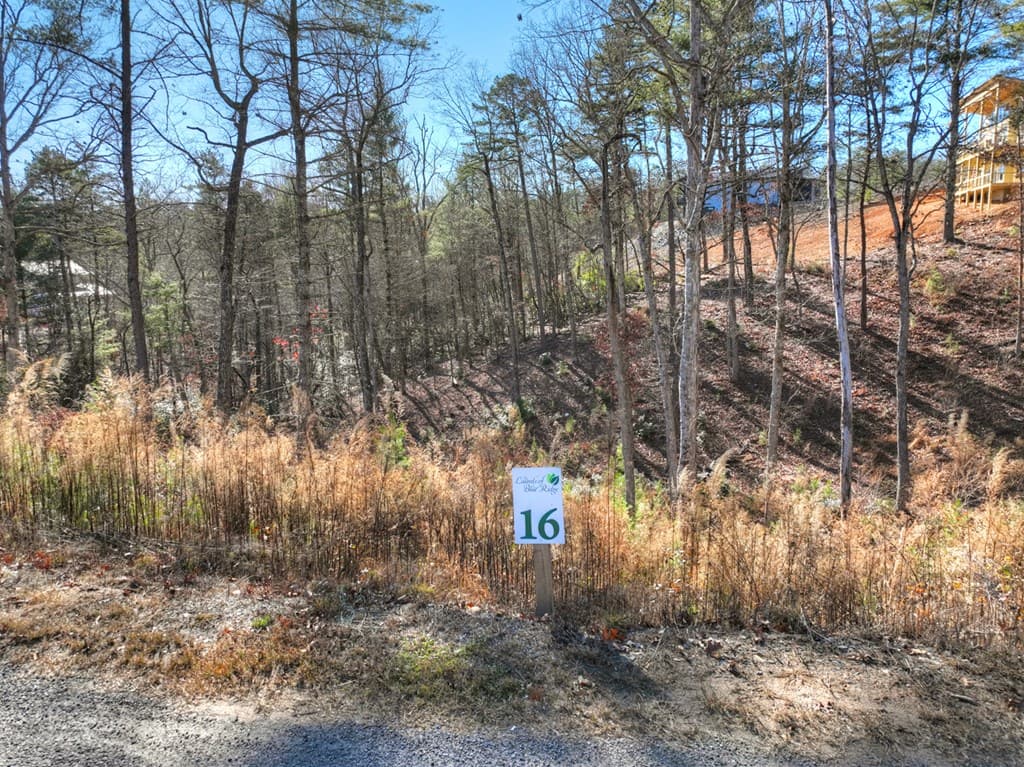 lot 16 Mountain Laurel Ridge, Mineral Bluff GA 30559 - Photo