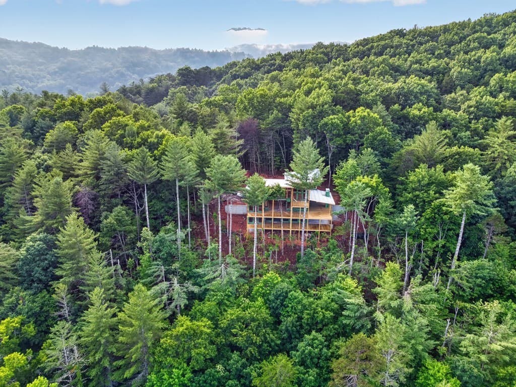 Lot 3C Stanley Creek Road, Cherry Log GA 30522 - Photo