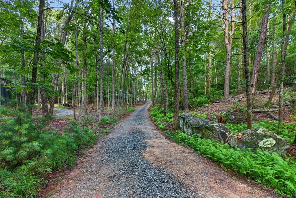 Lot 3C Stanley Creek Road, Cherry Log GA 30522 - Photo