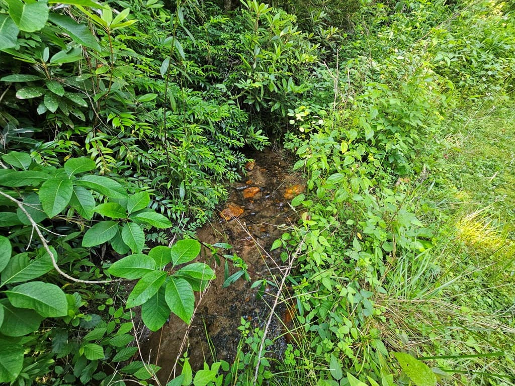 31 Acres Upper Bear Paw Road, Murphy NC 28906 - Photo