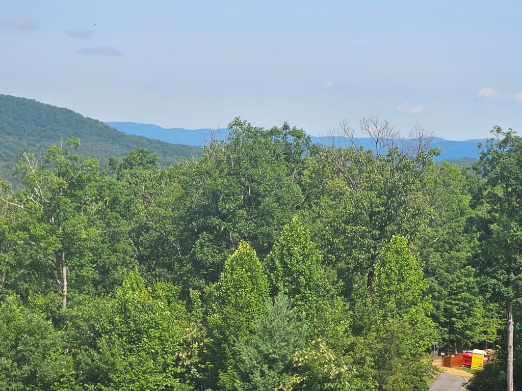 31 Acres Upper Bear Paw Road, Murphy NC 28906 - Photo