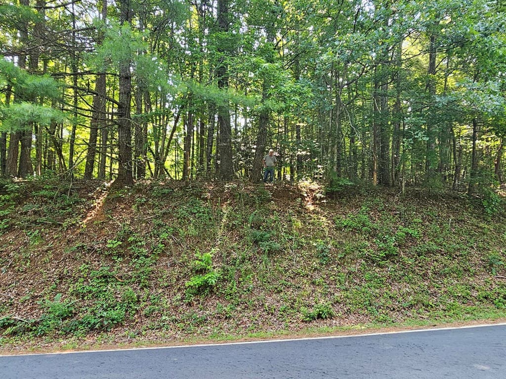 31 Acres Upper Bear Paw Road, Murphy NC 28906 - Photo