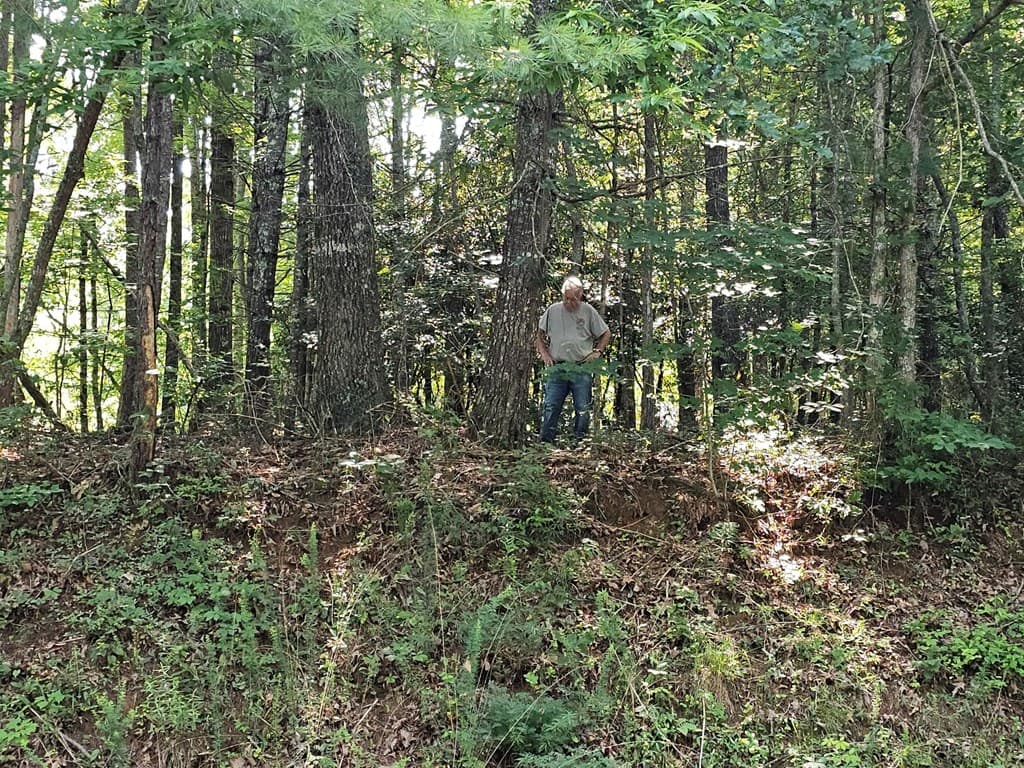 31 Acres Upper Bear Paw Road, Murphy NC 28906 - Photo