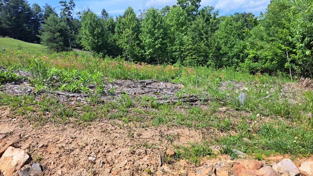 31 Acres Upper Bear Paw Road, Murphy NC 28906 - Photo