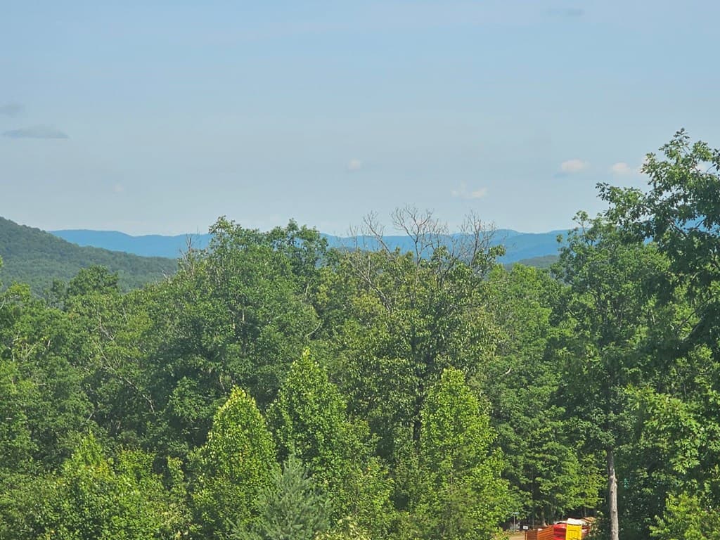 31 Acres Upper Bear Paw Road, Murphy NC 28906 - Photo