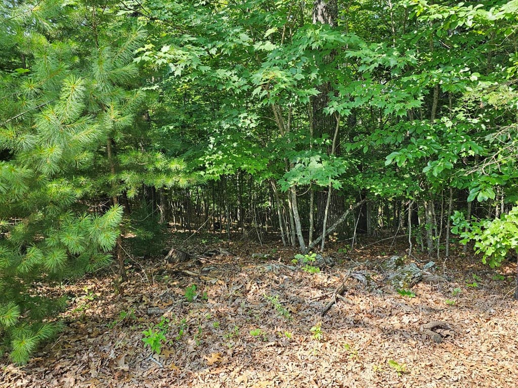 31 Acres Upper Bear Paw Road, Murphy NC 28906 - Photo