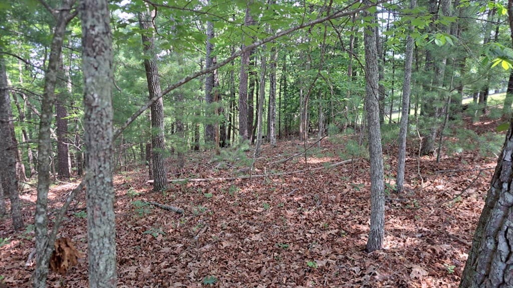 31 Acres Upper Bear Paw Road, Murphy NC 28906 - Photo
