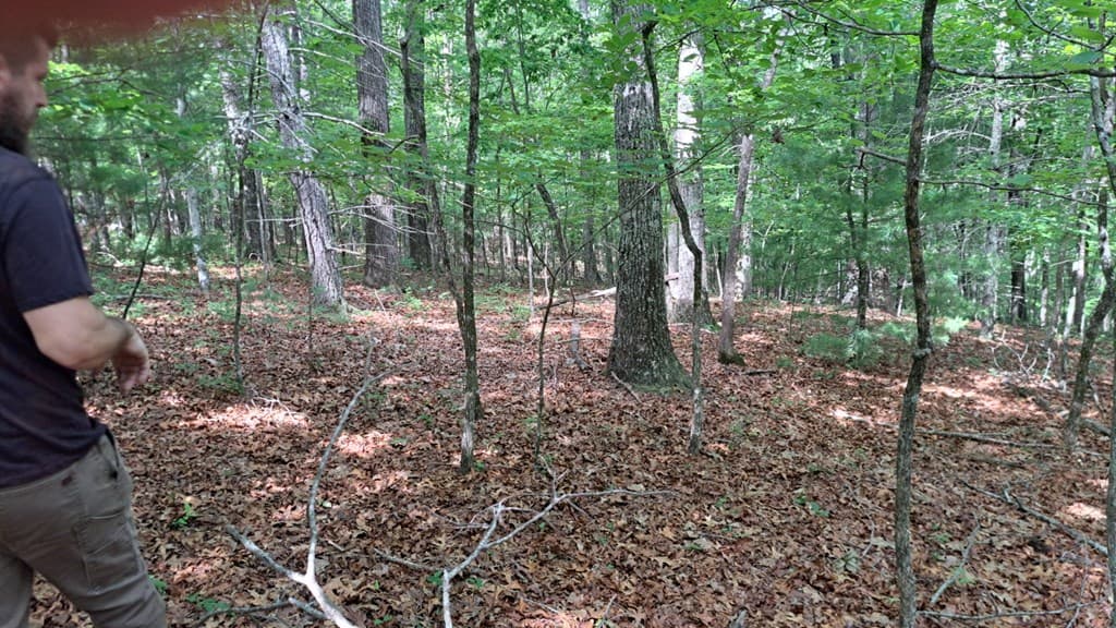 31 Acres Upper Bear Paw Road, Murphy NC 28906 - Photo
