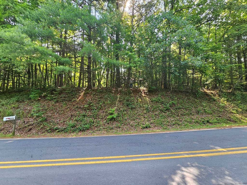 31 Acres Upper Bear Paw Road, Murphy NC 28906 - Photo