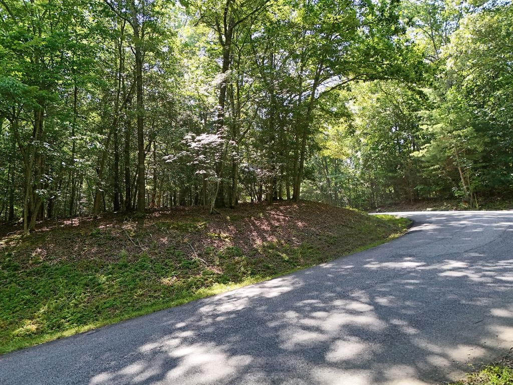 Lot 1 Eagle Bend Road, Blairsville GA 30512 - Photo