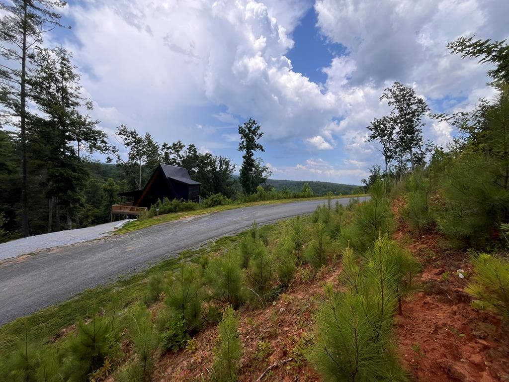 LT118 S Jakes Landing Way, Ellijay GA 30540 - Photo